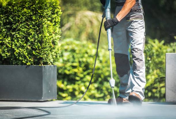 Best Solar Panel Cleaning  in Pierce City, MO